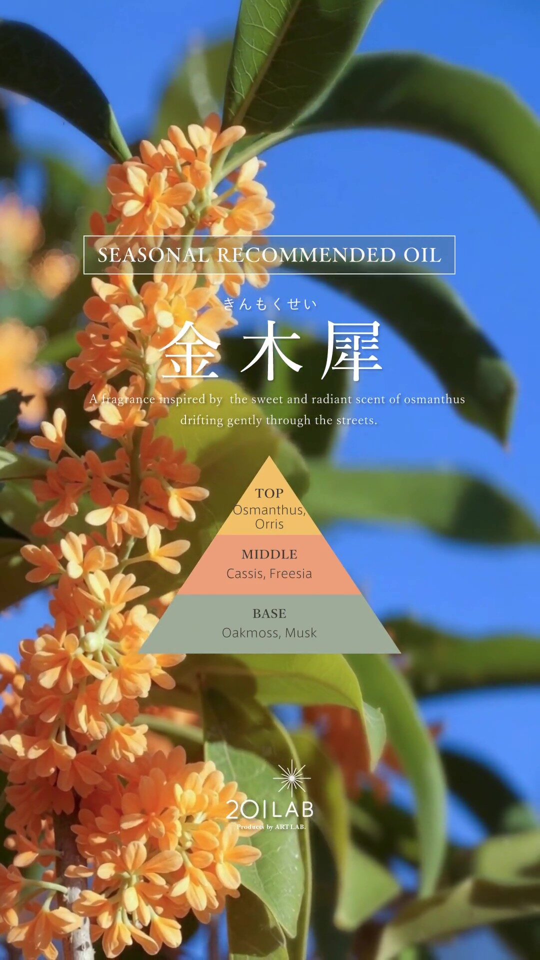 NEW RELEASE】 201LAB『金木犀-キンモクセイ-』リニューアル発売|商品
